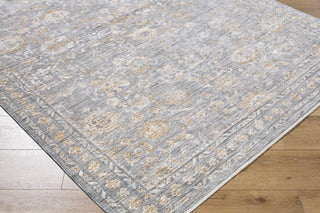 Livabliss Chapel Hill CHP-2302 Area Rug by Surya Corner Shot