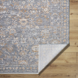 Livabliss Chapel Hill CHP-2302 Area Rug by Surya Pile