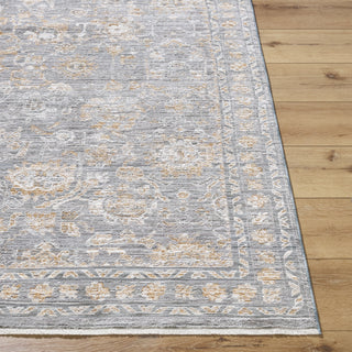 Livabliss Chapel Hill CHP-2302 Area Rug by Surya Angle