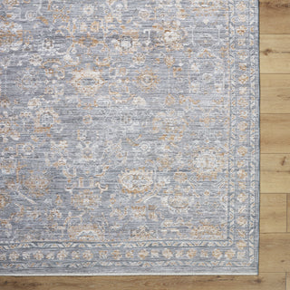 Livabliss Chapel Hill CHP-2302 Area Rug by Surya Detail
