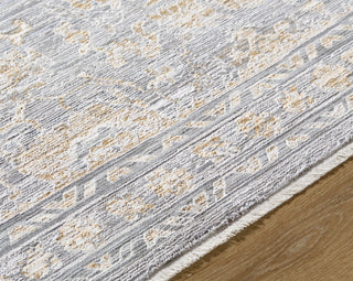 Livabliss Chapel Hill CHP-2302 Area Rug by Surya Detail