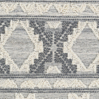 Surya Cheyenne CHY-2308 Area Rug Swatch