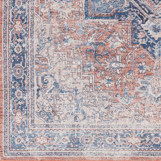 Livabliss Colin CLN-2316 Area Rug Swatch