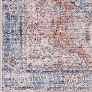 Livabliss Colin CLN-2317 Area Rug Swatch