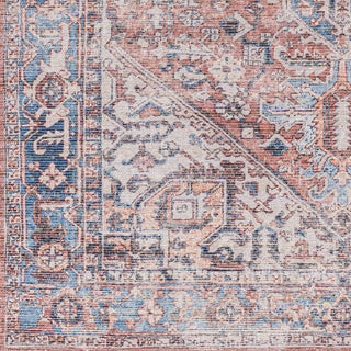 Livabliss Colin CLN-2318 Area Rug Swatch