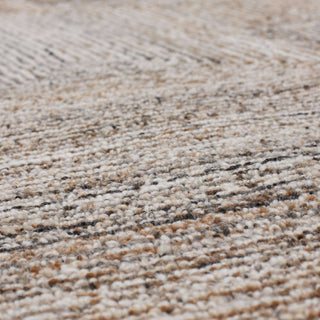 Karastan Forsyth Park Cloverdale Beige Steel Area Rug Lifestyle Image Feature