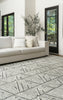 Nourison Colorado CLR01 Grey White Area Rug Main Image