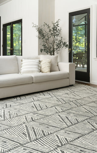 Nourison Colorado CLR01 Grey White Area Rug Main Image