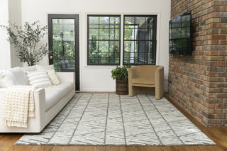 Nourison Colorado CLR01 Grey White Area Rug Main Image