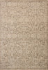 Loloi Clarisse CLS-06 Fog / Bone Area Rug main image