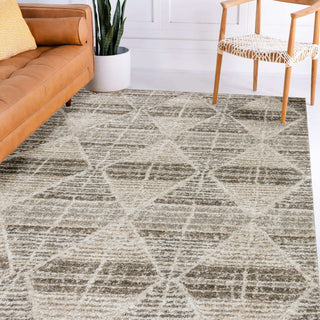 Dalyn Carmona CO8 Driftwood Area Rug Lifestyle Image Feature