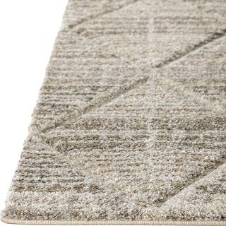 Dalyn Carmona CO8 Driftwood Area Rug