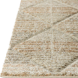 Dalyn Carmona CO8 Parchment Area Rug