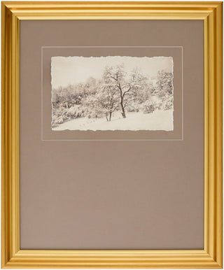 Surya Coconino COCO-002 Wall Art main image