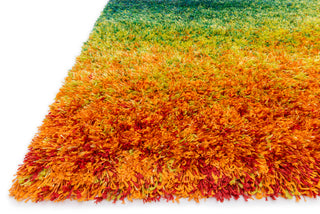 Loloi II Barcelona Shag BS-01 Rainbow Area Rug Corner