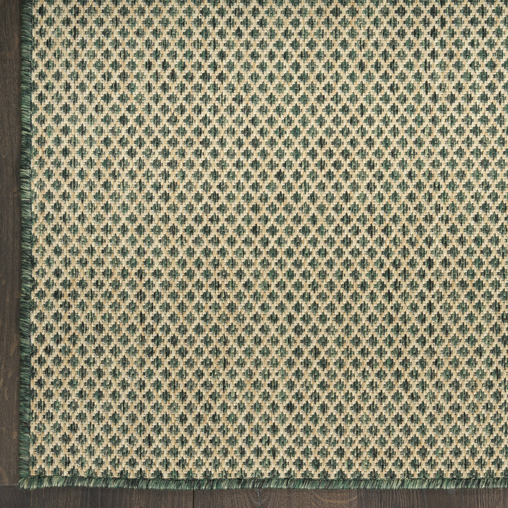 Nourison Courtyard COU01 Green Area Rug main image