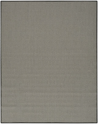 Nourison Courtyard COU01 Black White Area Rug main image
