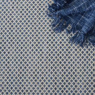 Nourison Courtyard COU01 Ivory Blue Area Rug 