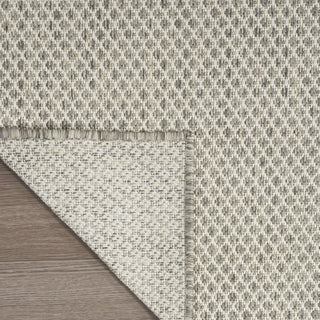 Nourison Courtyard COU01 Ivory Silver Area Rug 