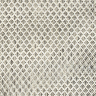 Nourison Courtyard COU01 Ivory Silver Area Rug 