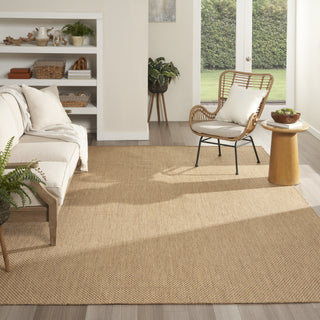 Nourison Courtyard COU01 Jute Area Rug 