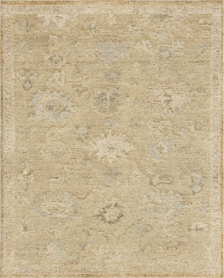 Karastan Coventry Berkswell Brown Area Rug