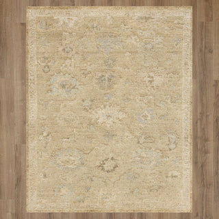 Karastan Coventry Berkswell Brown Area Rug