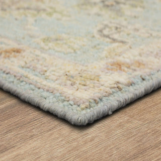 Karastan Coventry Westwood Heath Blue Area Rug