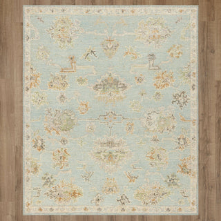 Karastan Coventry Westwood Heath Blue Area Rug