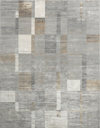 Ancient Boundaries Calos CAL-1020 Grey Area Rug Main Image