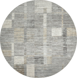 Ancient Boundaries Calos CAL-1020 Grey Area Rug Alternative Image