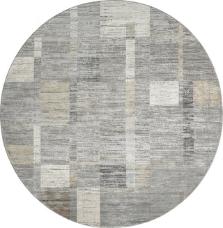 Ancient Boundaries Calos CAL-1020 Grey Area Rug Alternative Image