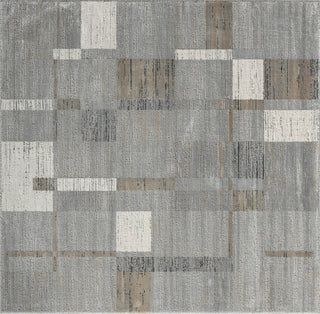 Ancient Boundaries Calos CAL-1020 Grey Area Rug Alternative Image
