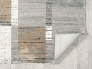 Ancient Boundaries Calos CAL-1020 Grey Area Rug Closeup Image