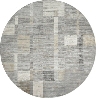 Ancient Boundaries Calos CAL-1020 Grey Area Rug Main Image