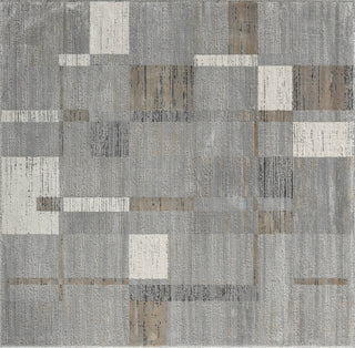 Ancient Boundaries Calos CAL-1020 Grey Area Rug Main Image