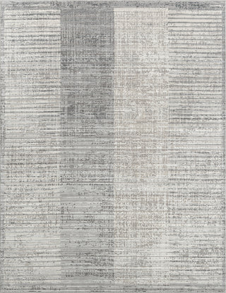 Ancient Boundaries Calos CAL-1022 Grey Area Rug Main Image