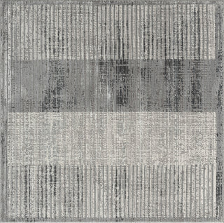 Ancient Boundaries Calos CAL-1022 Grey Area Rug Alternative Image