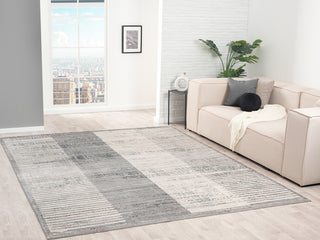 Ancient Boundaries Calos CAL-1022 Grey Area Rug Lifestyle Image Feature