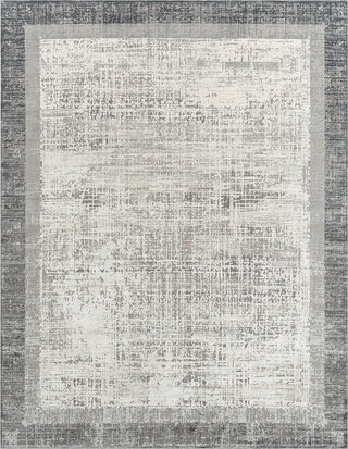 Ancient Boundaries Calos CAL-1023 Grey Area Rug Main Image