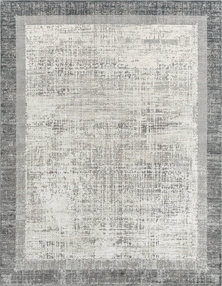 Ancient Boundaries Calos CAL-1023 Grey Area Rug Alternative Image