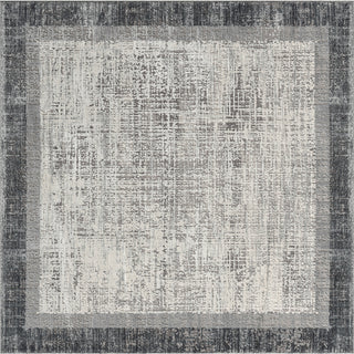 Ancient Boundaries Calos CAL-1023 Grey Area Rug Alternative Image