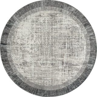 Ancient Boundaries Calos CAL-1023 Grey Area Rug main image