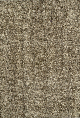 Dalyn Calisa CS5 Coffee Area Rug 