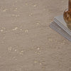 Nourison Cozy Shimmer CSH01 Beige Gold Area Rug Corner Image