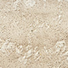 Nourison Cozy Shimmer CSH01 Beige Gold Area Rug Swatch Image