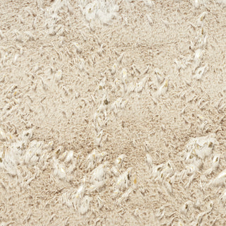 Nourison Cozy Shimmer CSH01 Beige Gold Area Rug Swatch Image