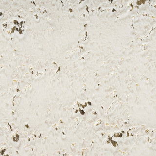 Nourison Cozy Shimmer CSH01 Ivory Gold Area Rug Swatch Image