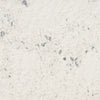 Nourison Cozy Shimmer CSH01 Ivory Silver Area Rug Swatch Image