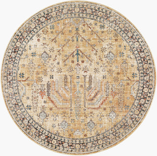 Livabliss Carlisle CSI-2316 Area Rug Round